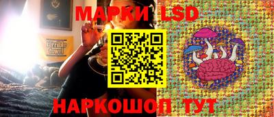 ГАЛЛЮЦИНОГЕННЫЕ ГРИБЫ Краснодар
