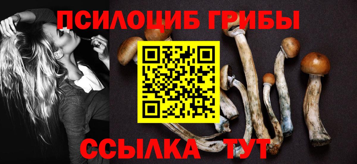 Псилоцибиновые грибы мухоморы  Вход с VPN  Комсомольск-на-Амуре  Галлюциногенные грибы MAGIC MUSHROOMS 